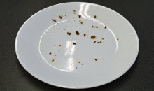 Miele G4925SCU—Meat Stains