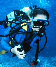 WetPC2 - cropped.jpg
