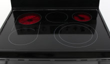 Frigidaire Professional FPEF3077QF Rangetop On