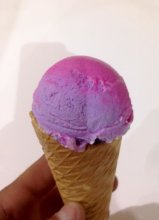 IceXperience Xameleón Ice Cream