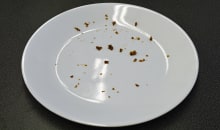 Miele G4925SCU—Meat Stains