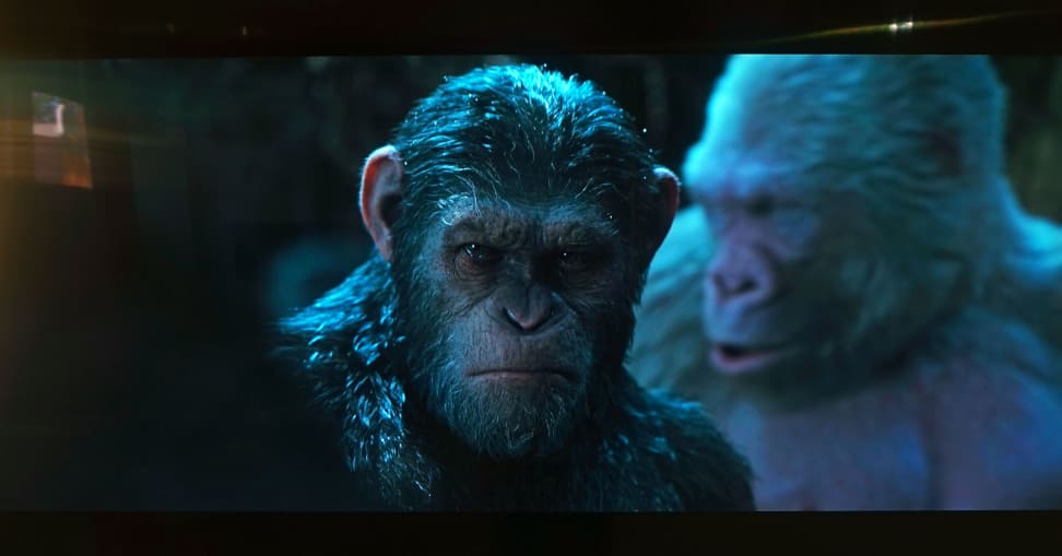 MU9000-Apes-1
