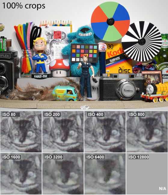 NikonP520_Noise_Cat.jpg