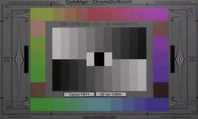 Canon_FS11_60_Lux_1-30_web.jpg