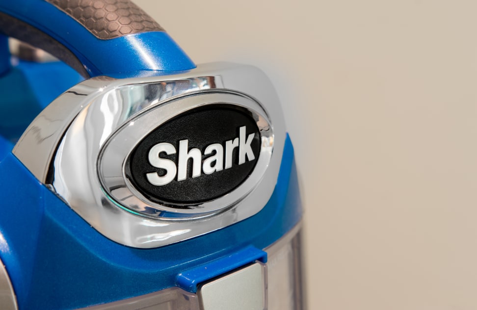 Shark