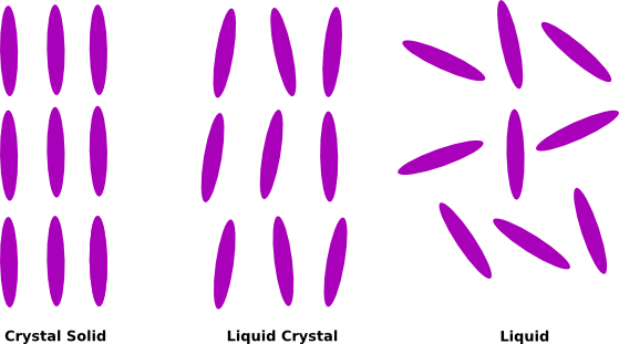 order.png