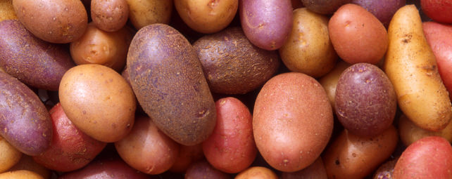 Potatoes