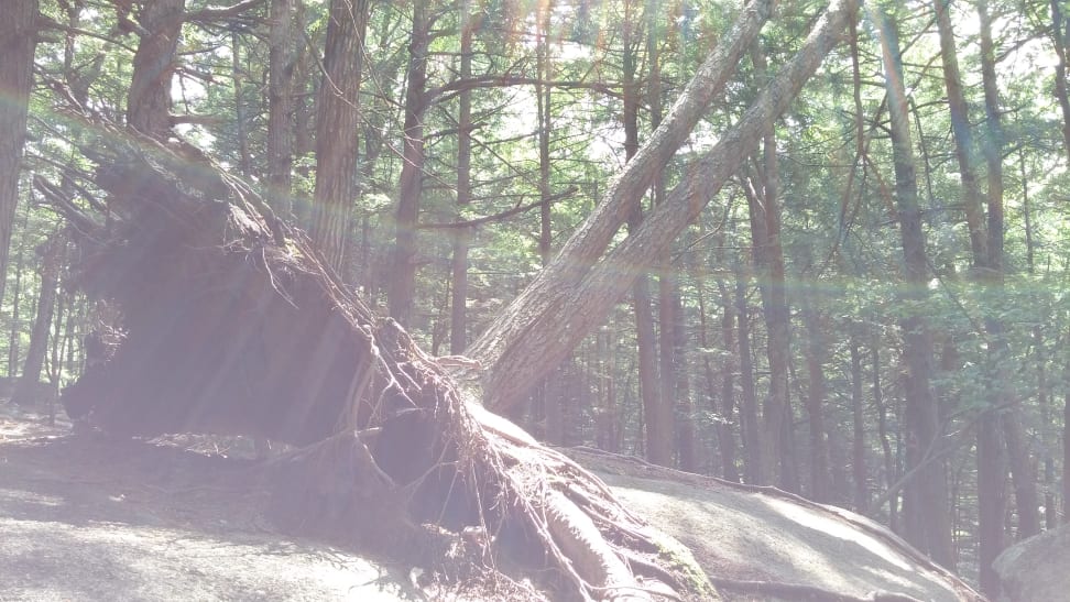 LG-G3-review-lens-flare.jpg
