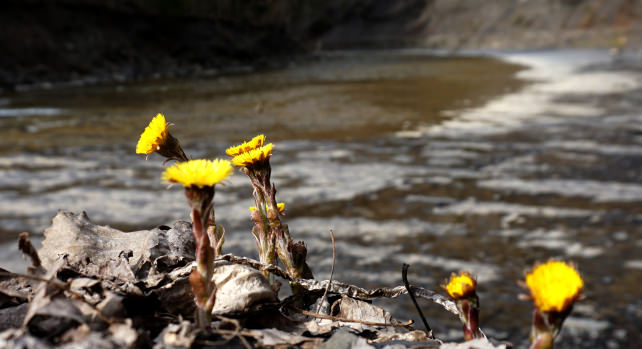 SONY-A6000-SAMPLE-PHOTOS-UPLOAD-24.jpg