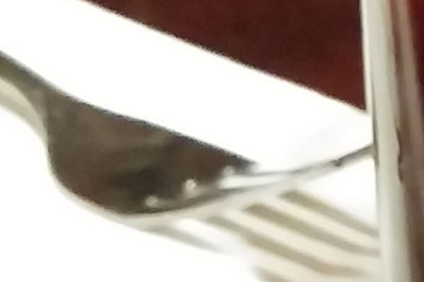 fork-full-size.jpg