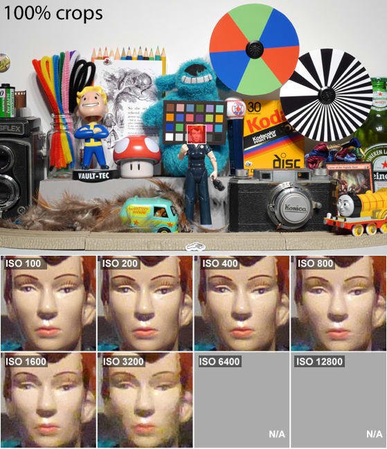 DCI-SCIENCE-PAGE-ROSIE.jpg