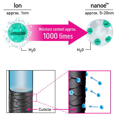 nanoe diagram.jpg