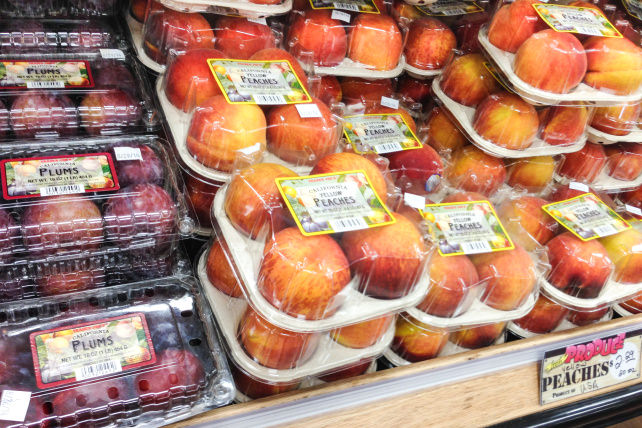 Trader Joes-5.jpg