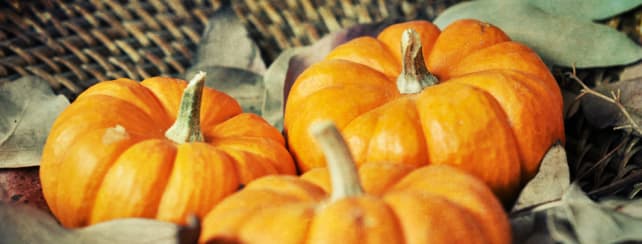 Mini Pumpkin Favors