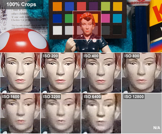 DCI-ROSIE-CROPS.jpg