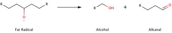 lipid oxidation.png