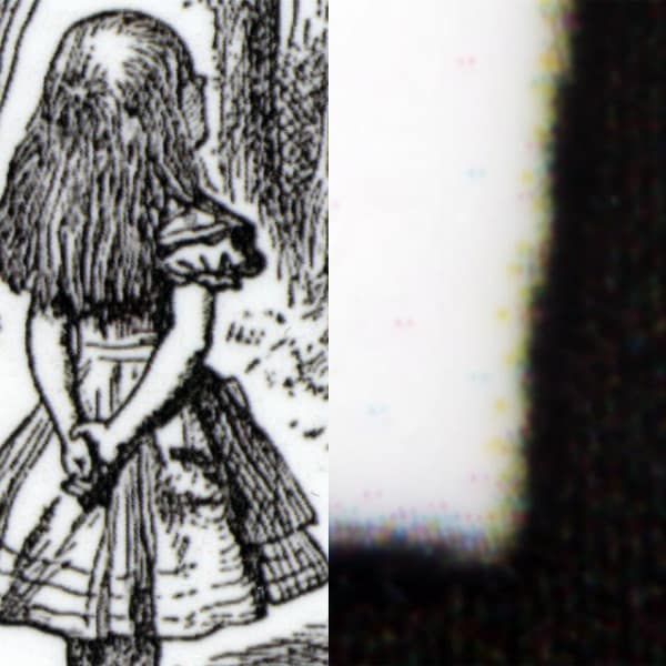 detailscan.jpg