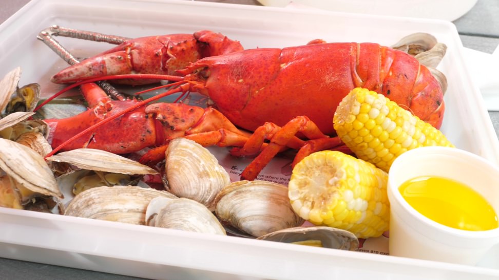 Lobster