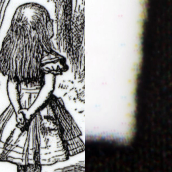 detailscan.jpg