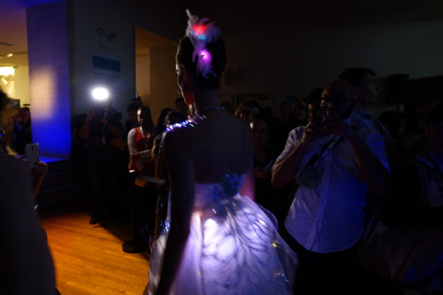 Biometric Bride recesses