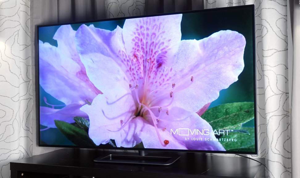 Vizio-P-Front.jpg