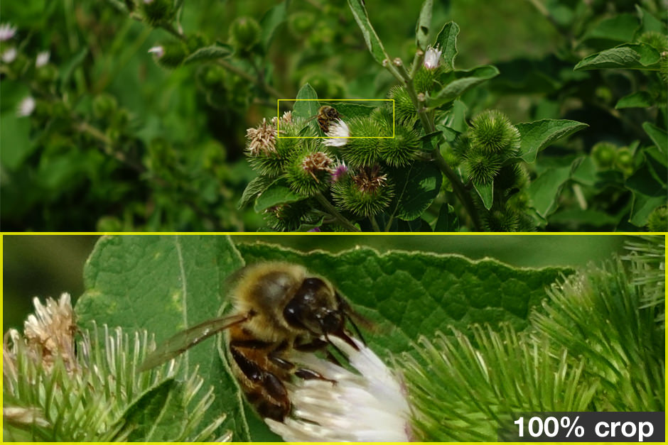 sony-rx100iii-review-science-crop.jpg