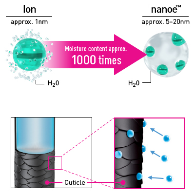 nanoe diagram.jpg