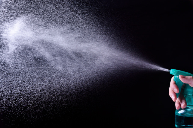 Spray Bottle