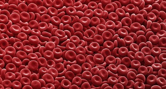 red blood cell.jpg