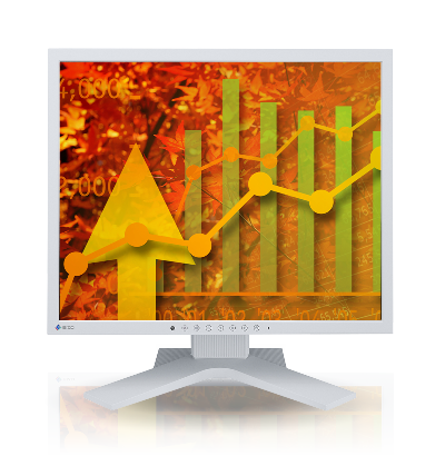 Product Image - Eizo S1933