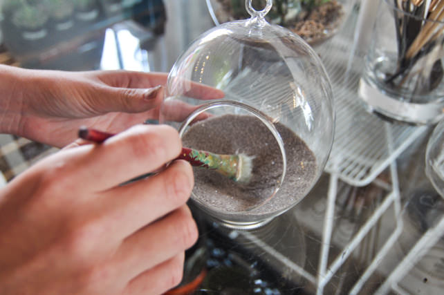 Succulent-Terrarium-4.jpg
