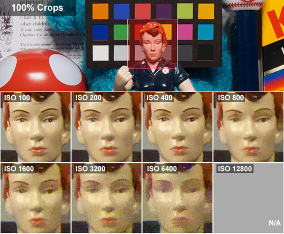 PANASONIC-LUMIX-ZS40-REVIEW-ROSIE-CROPS.jpg