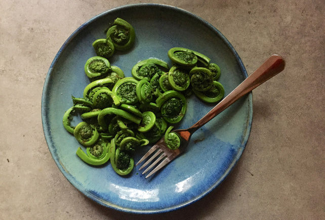 Fiddleheads