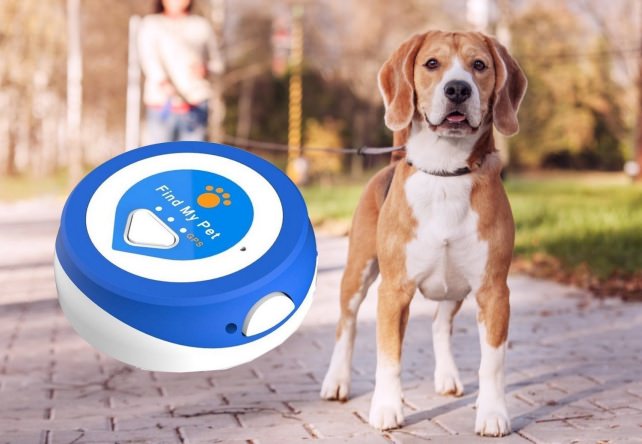 Find My Pet Nano GPS Dog Tracker