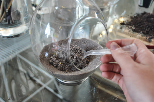 Succulent-Terrarium-5.jpg
