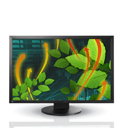 Product Image - Eizo Ev2416W