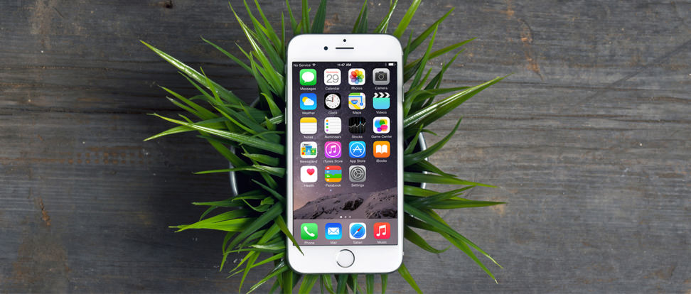 Apple iPhone 6 Design